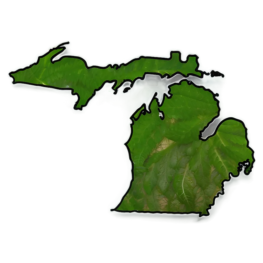 Michigan Outline  PNG Images