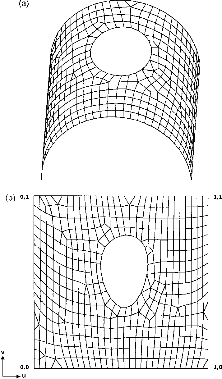 3 D Mesh Topology Analysis