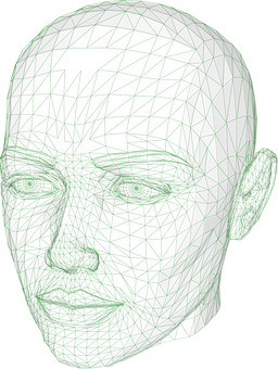 3 D Model Wireframe Head