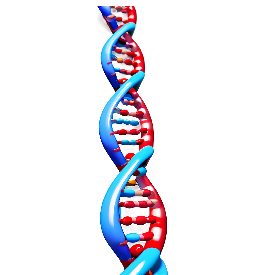 3d Dna Model Png Vmt