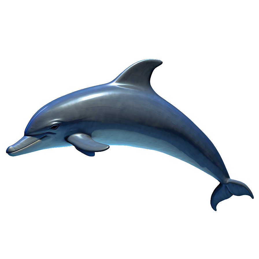 3d Dolphin Png 37