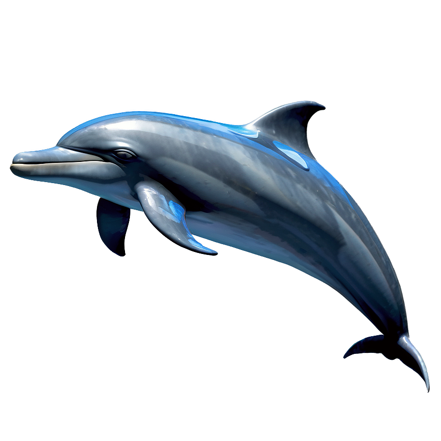 3d Dolphin Png Aox