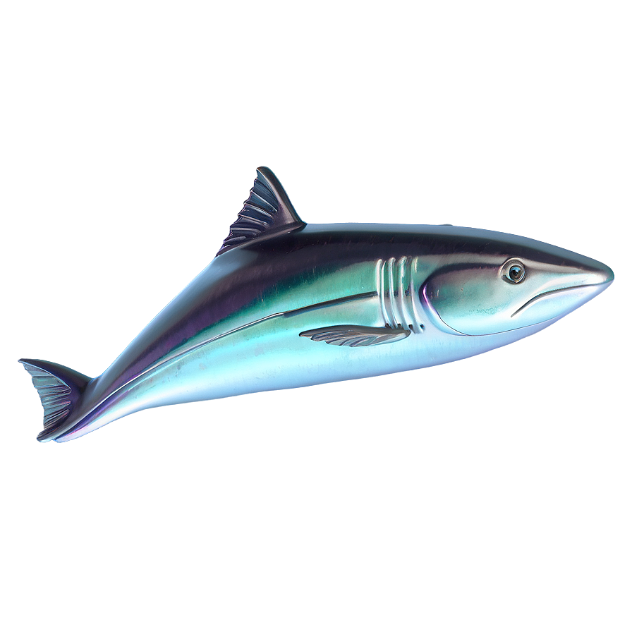 3d Fin Illustration Png 15