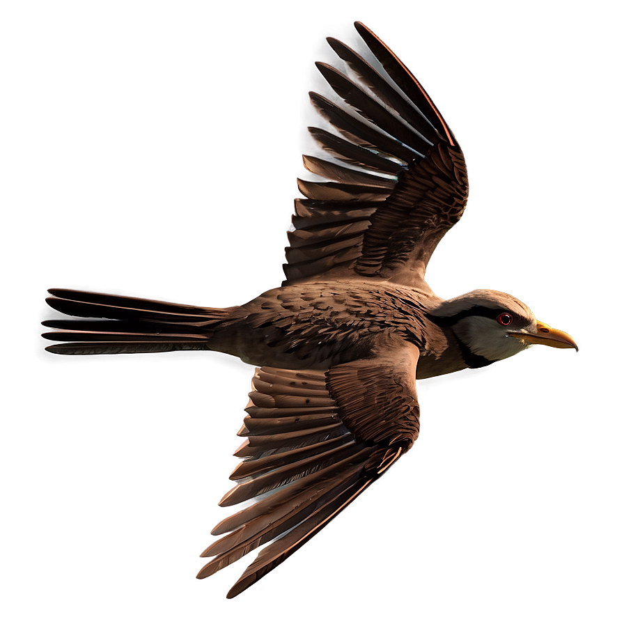 3d Model Animation Flying Bird Png Ofx