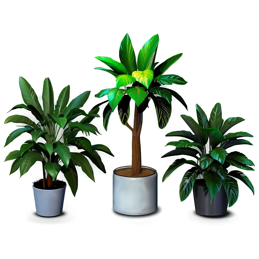 3d Plant Models Png 05212024