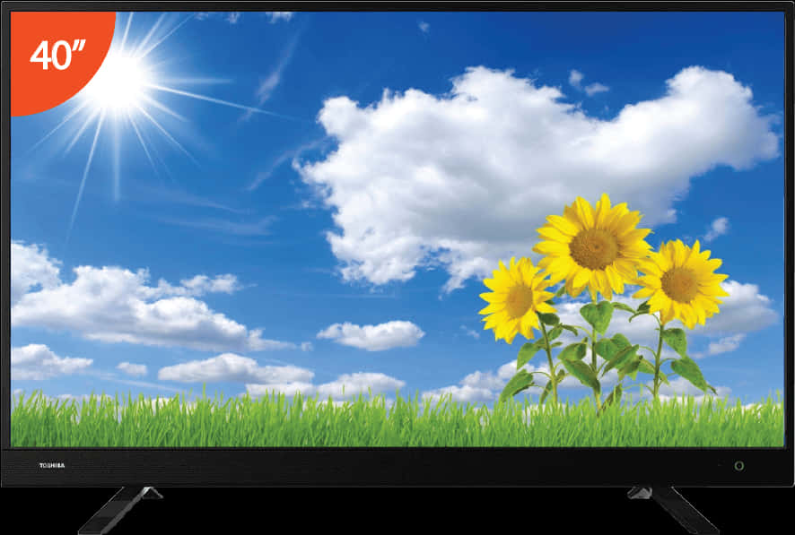 40 Inch Toshiba L E D T V Sunflower Display