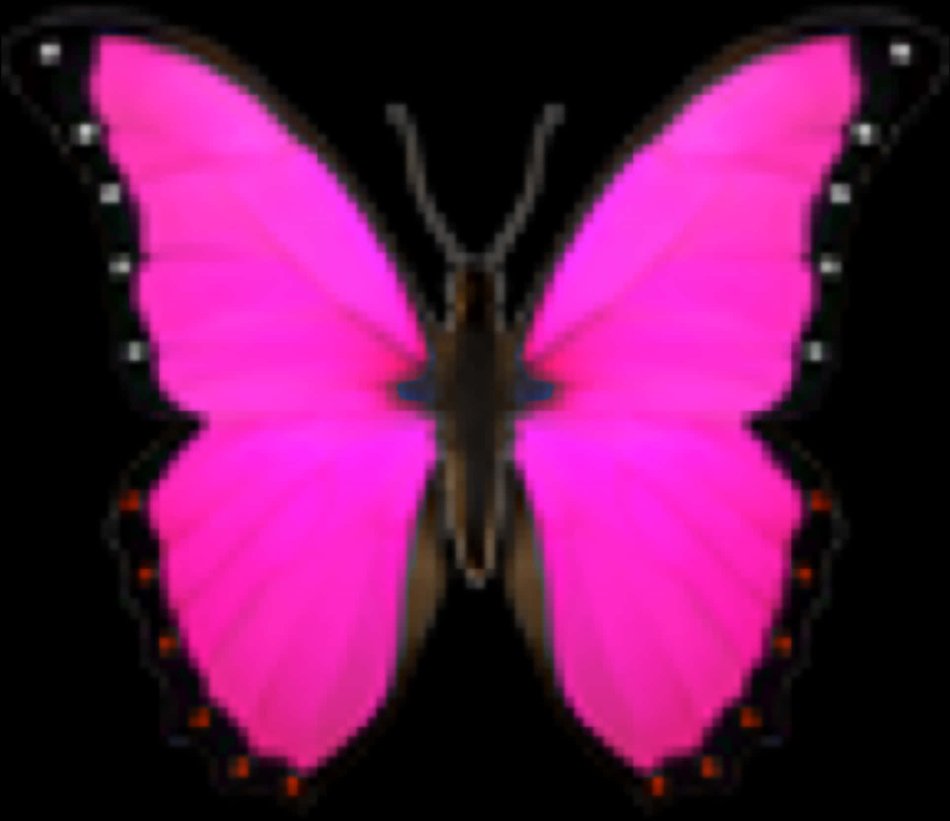 A Close-up View Of A Vivacious Pink Butterfly