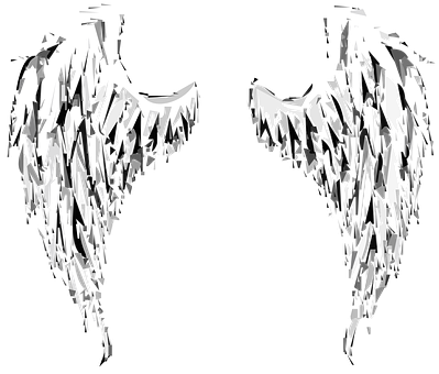 Abstract Angel Wings Art