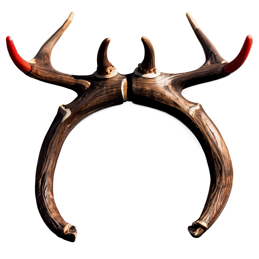 Abstract Antler Art Png 06212024