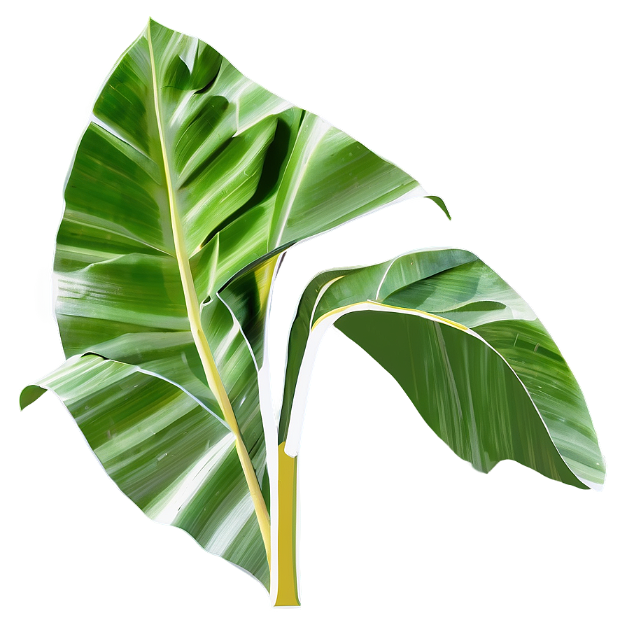 Abstract Banana Leaf Png 48