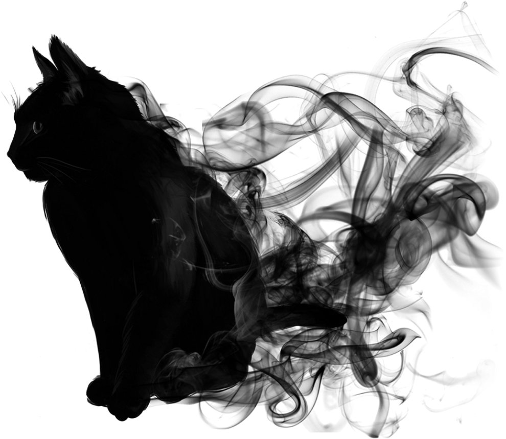 Abstract Black Cat Artwork