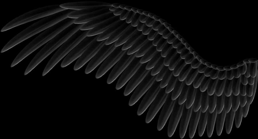 Abstract Black Wing Design