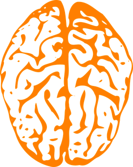 Abstract Brain Illustration