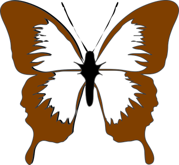 Abstract_ Butterfly_ Silhouette