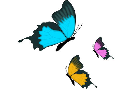 Abstract Butterfly Trioon Black Background