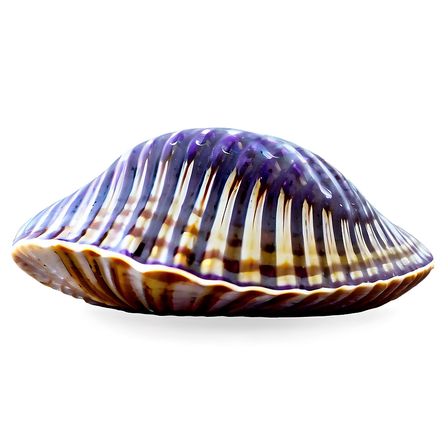 Abstract Clam Design Png Ahf