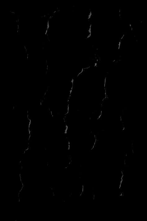 Abstract Crack Pattern Black Background