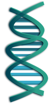 Abstract D N A Double Helix Illustration