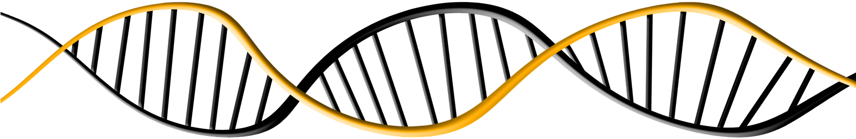 Abstract D N A Double Helix Illustration