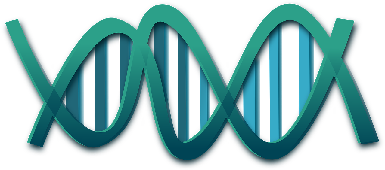 Abstract D N A Double Helix Illustration