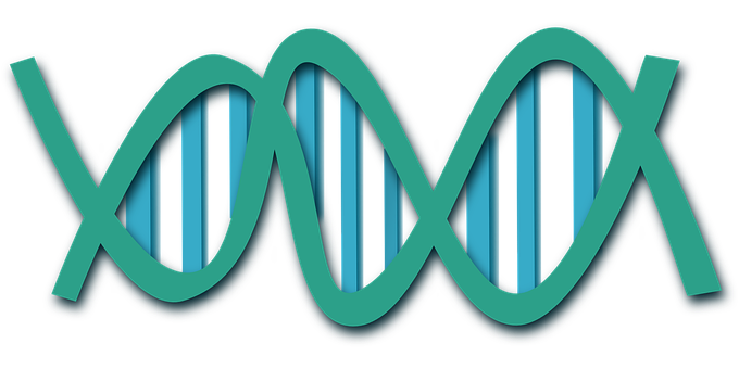 Abstract D N A Double Helix Illustration