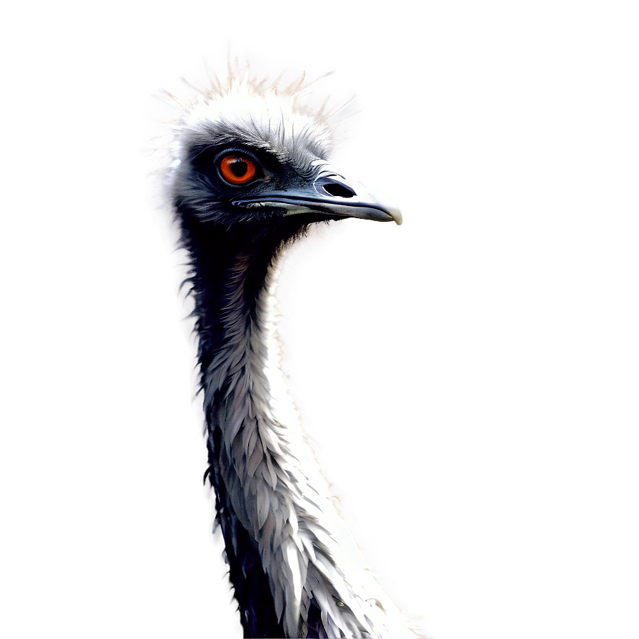 Abstract Emu Png Bwk