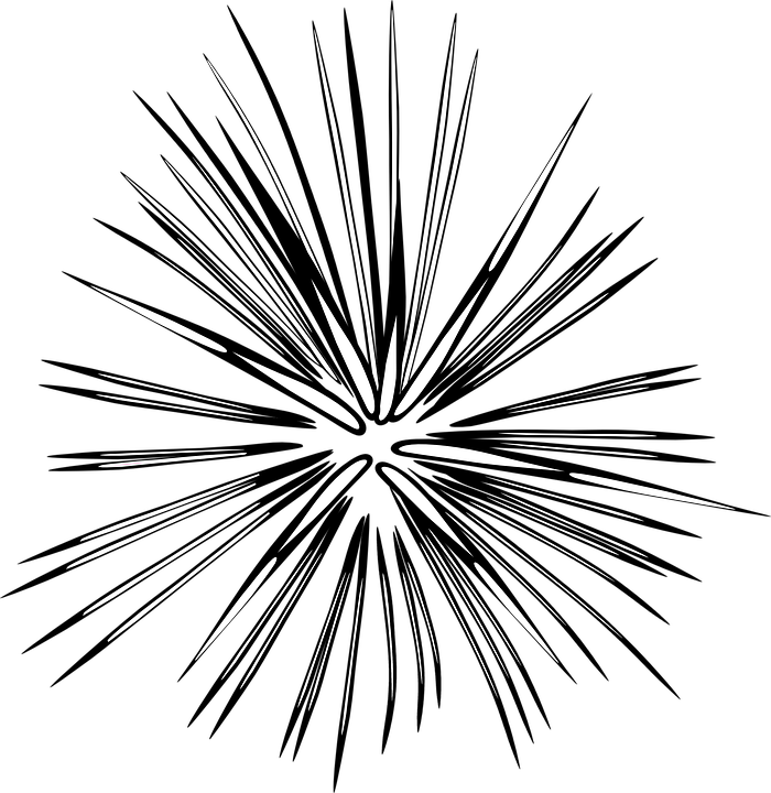 Abstract Firework Explosion Graphic