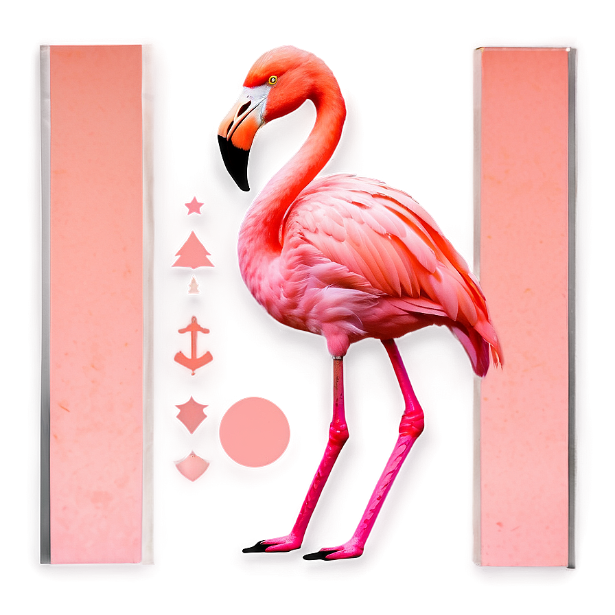 Abstract Flamingo Collage Png Qlc