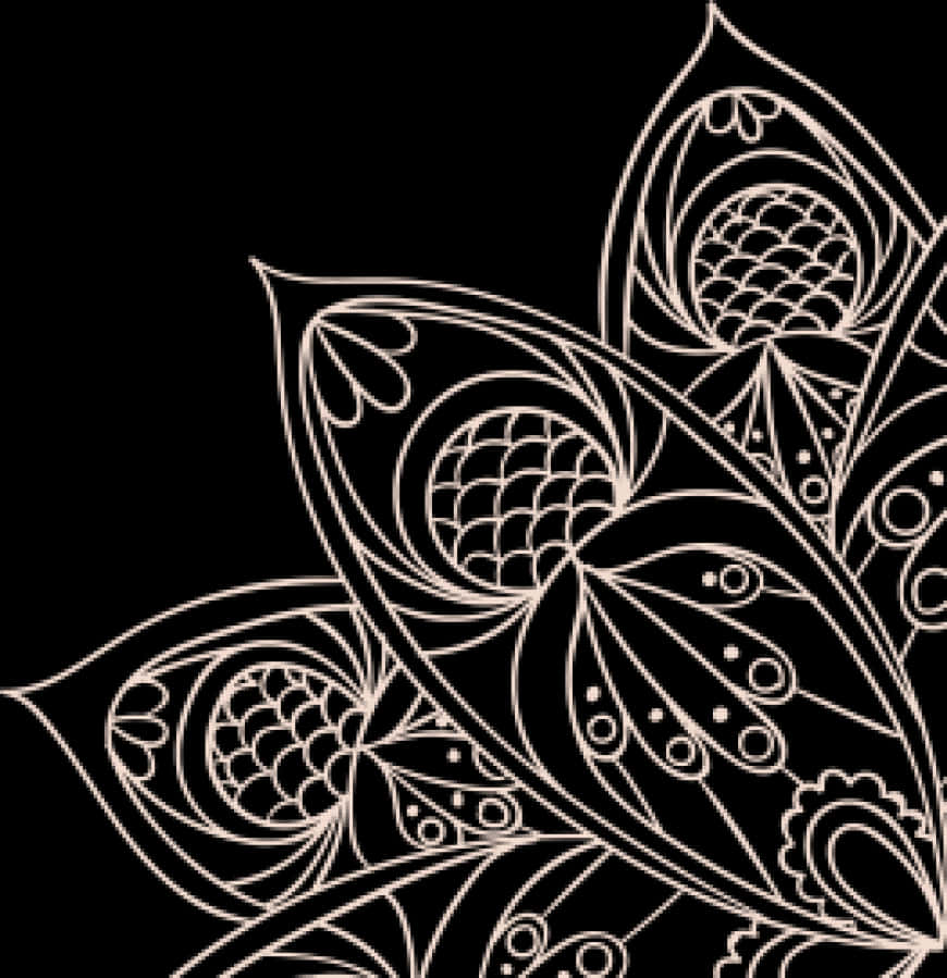 Abstract Floral Design Black Background