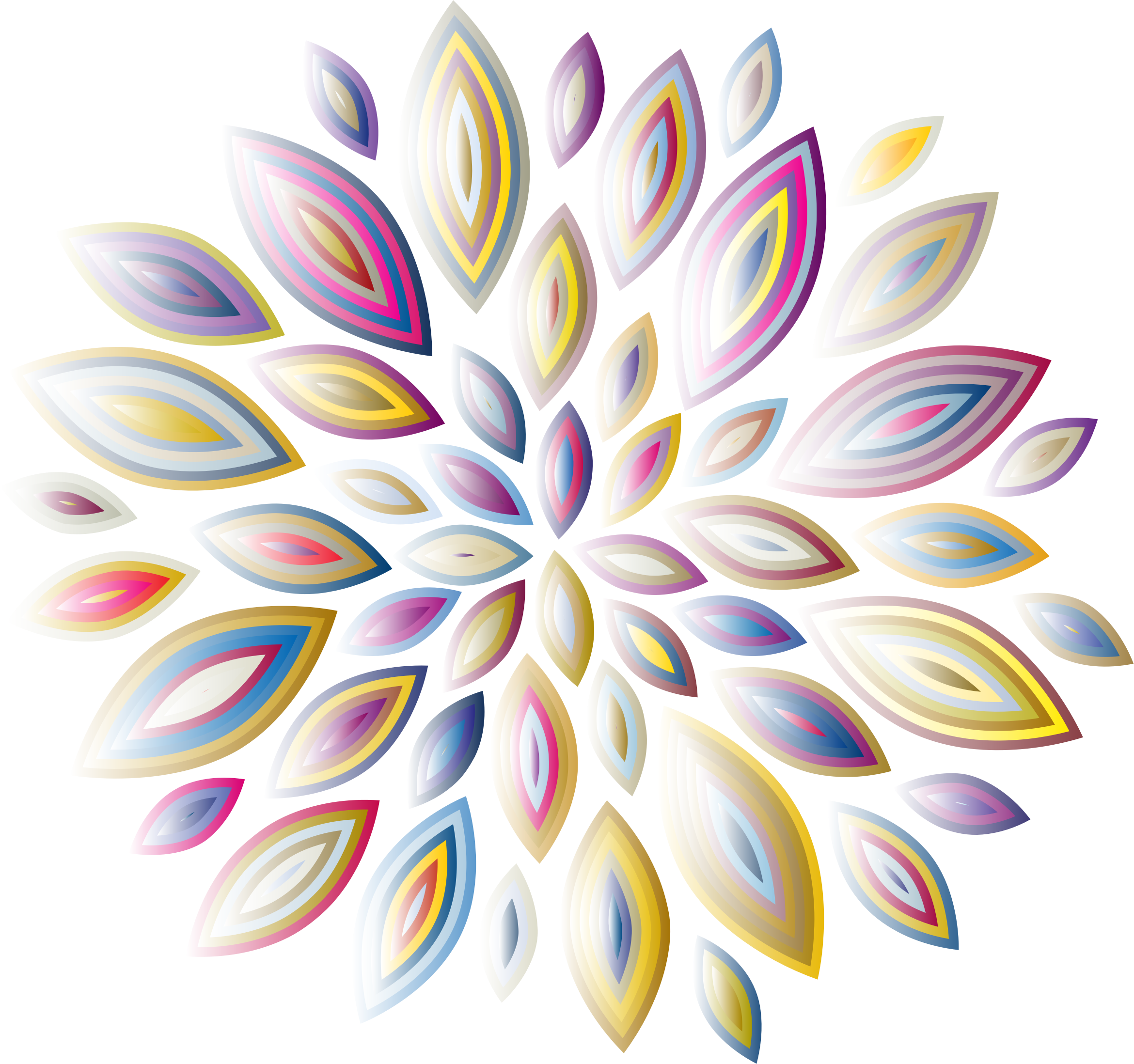 Abstract Floral Petal Design