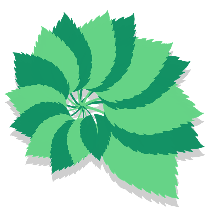 Abstract Green Leaf Design