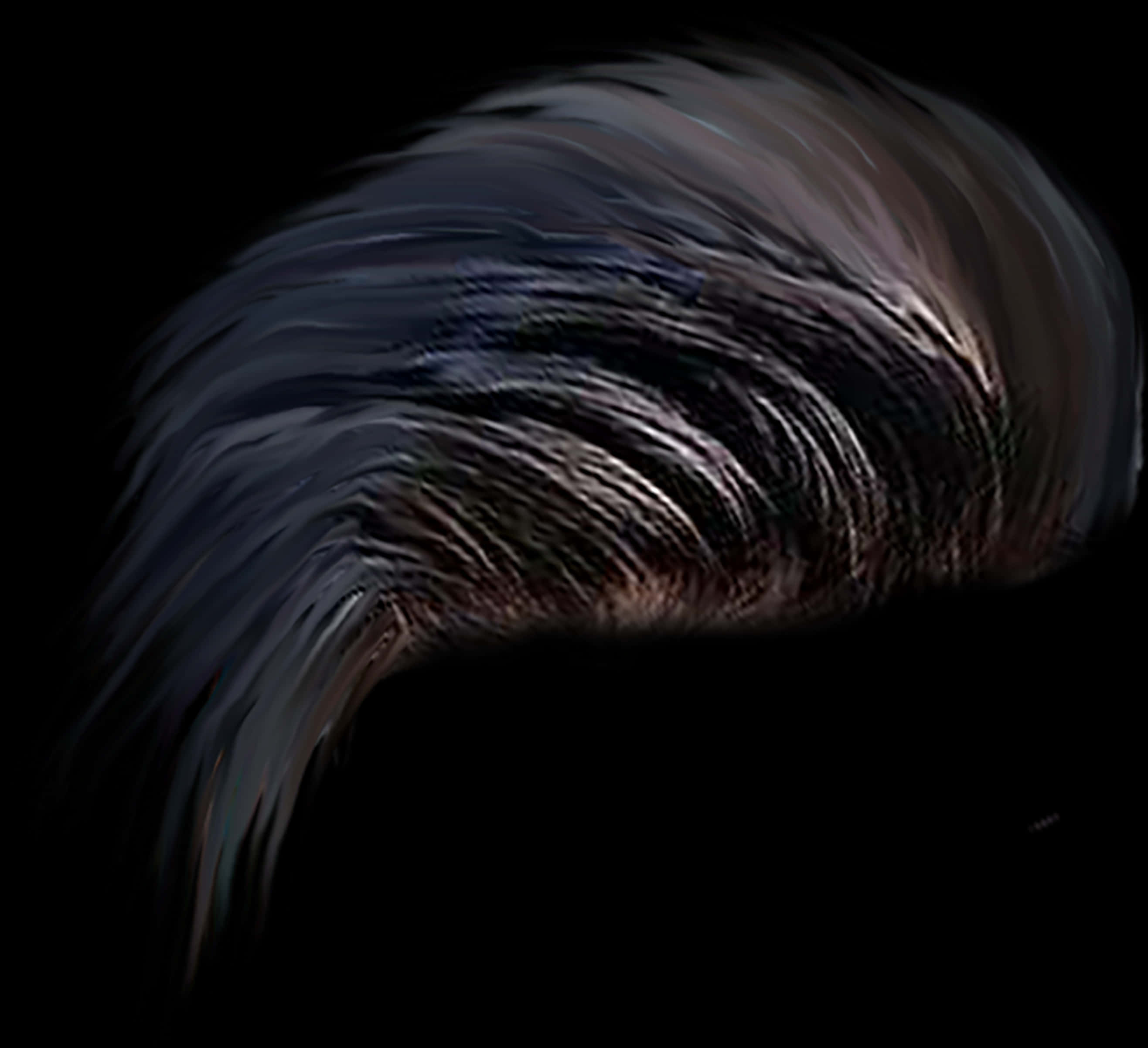 Abstract_ Hair_ Swirl_ Art