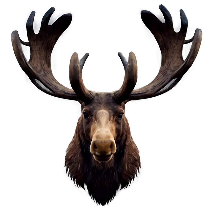 Abstract Moose Head Design Png 06292024