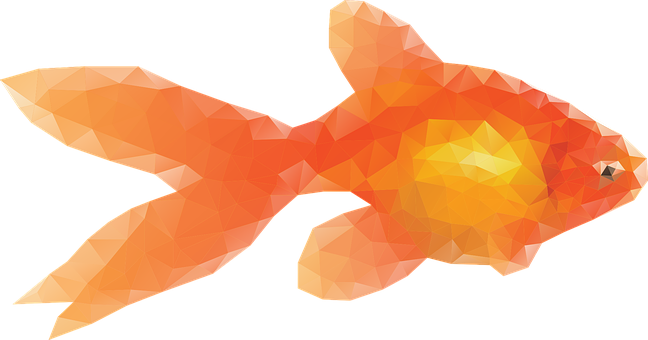 Abstract Orange Goldfish Artwork