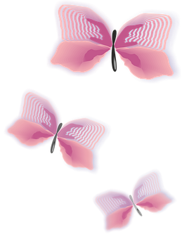 Abstract Pink Butterflieson Black