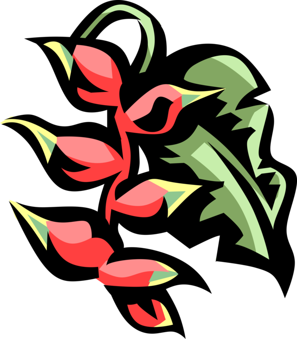 Abstract Plantain Floral Design