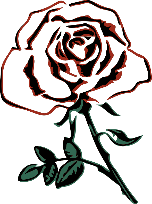 Abstract Rose Line Art