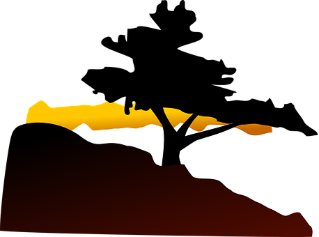 Abstract Savanna Sunset Silhouette