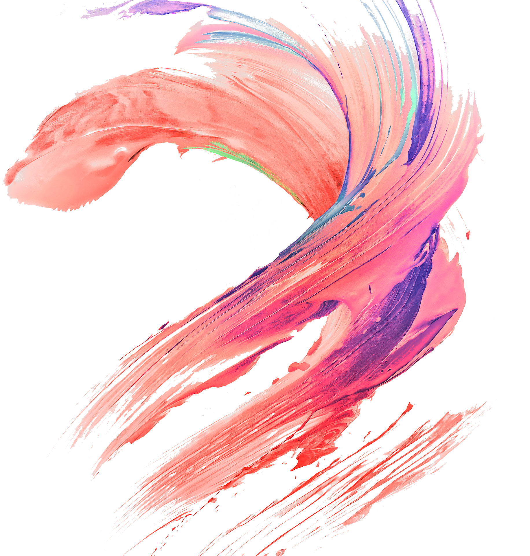 Abstract Swirl Brush Stroke