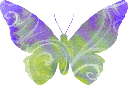 Abstract Watercolor Butterfly Art