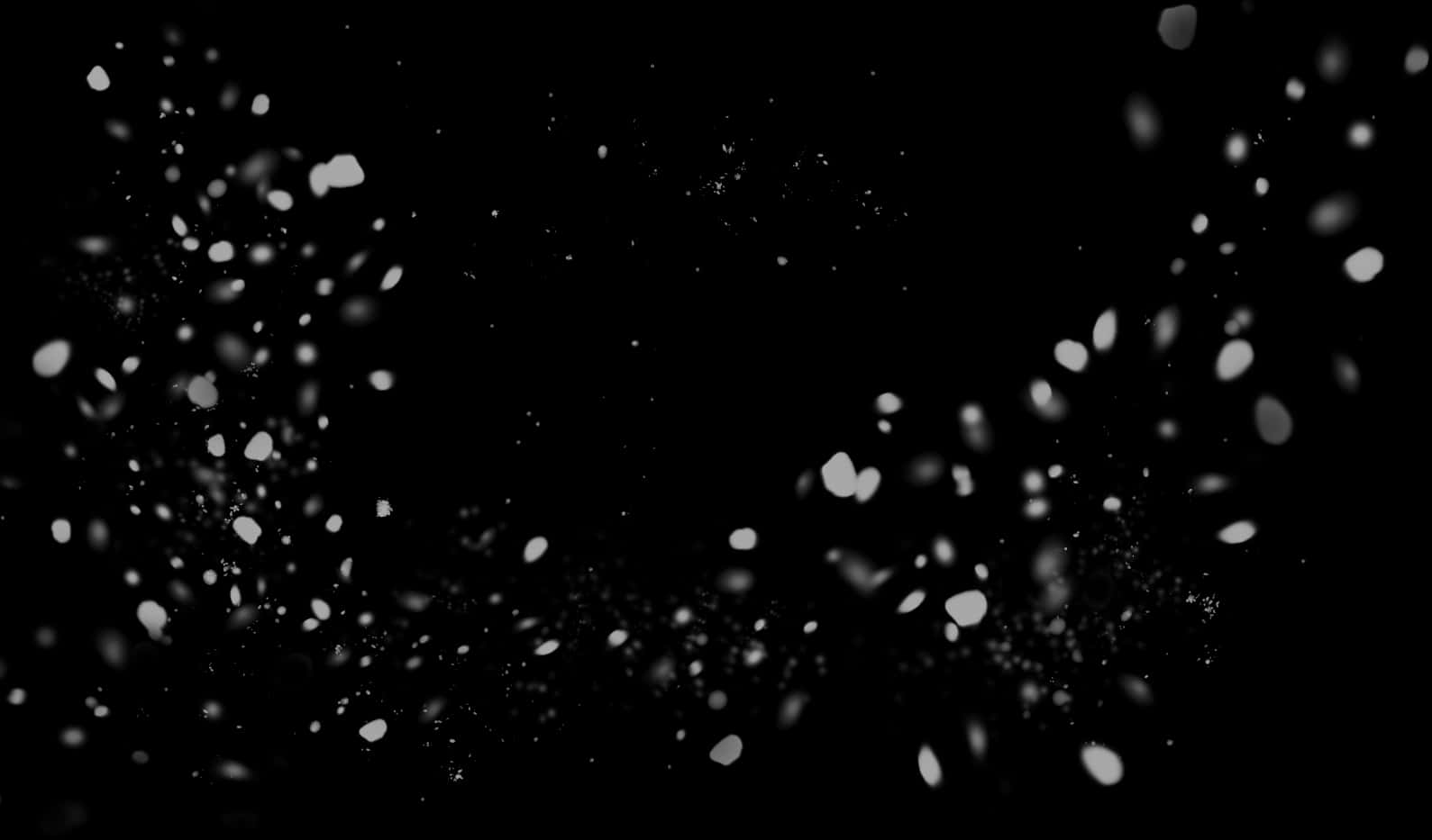 Abstract White Particleson Black Background