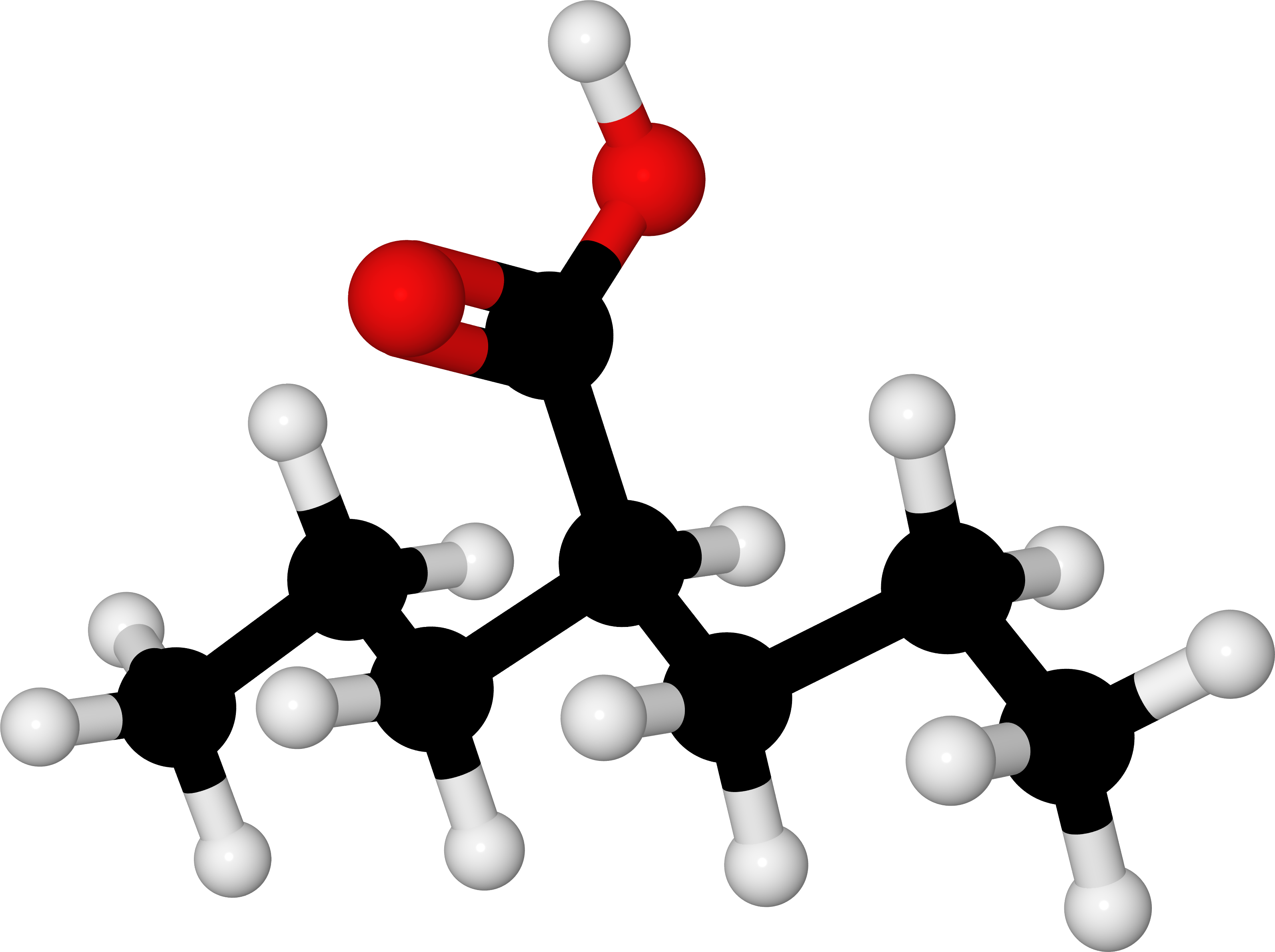 Acetic Acid Molecular Structure