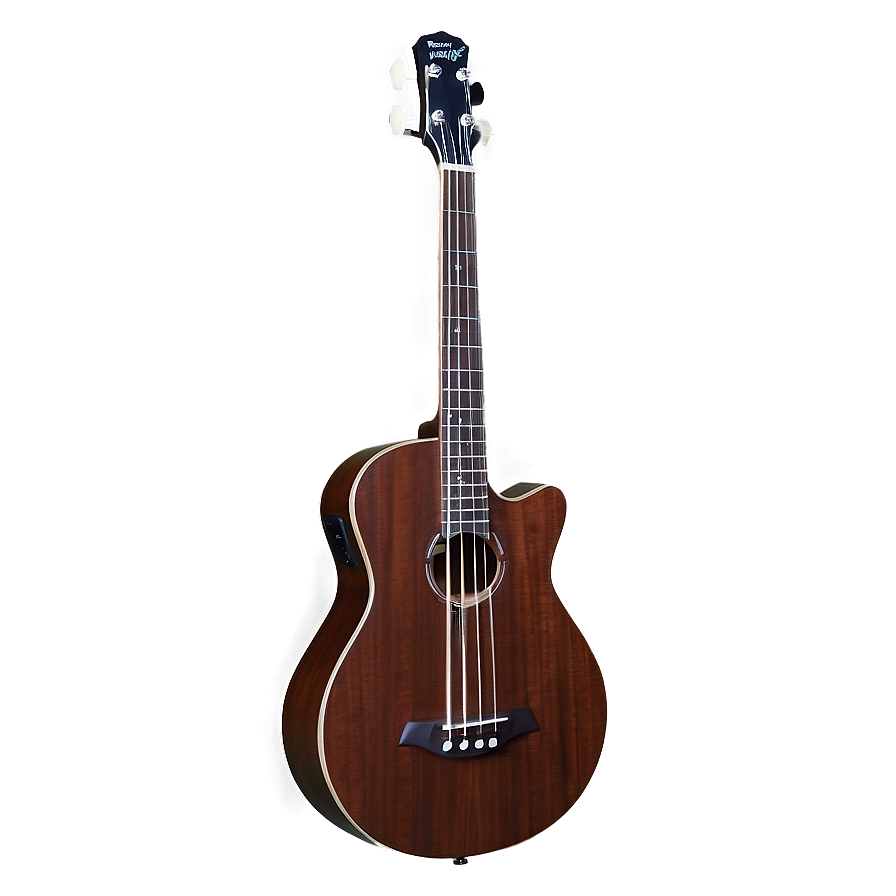 Acoustic Electric Bass Png 37