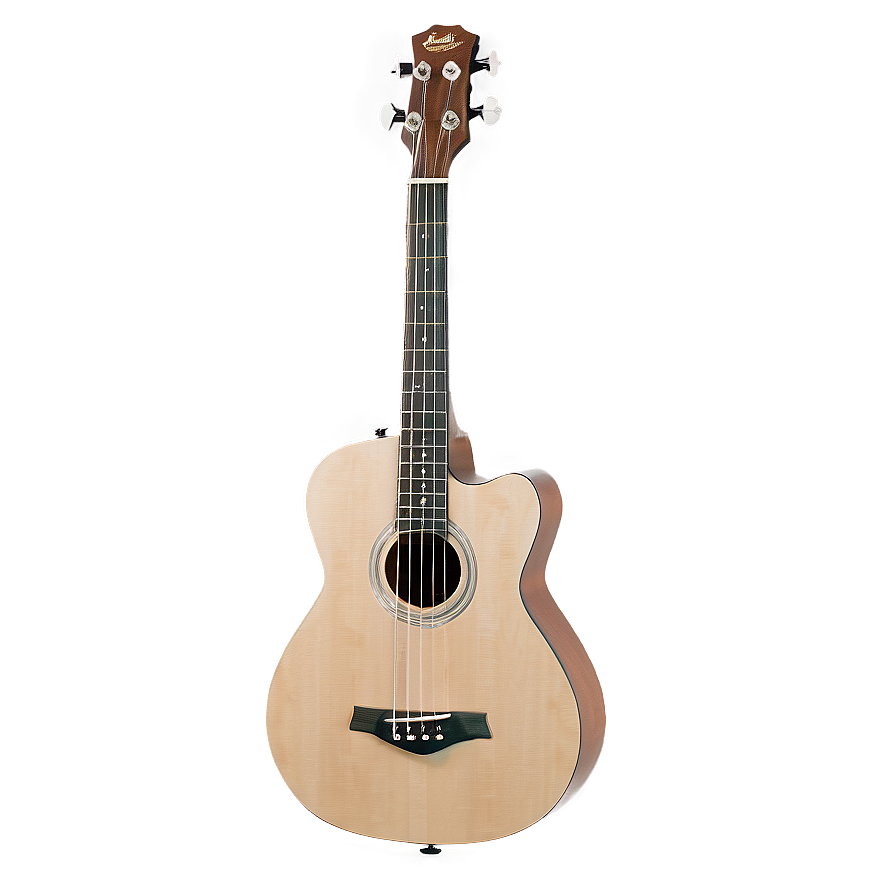 Acoustic Electric Bass Png Eak