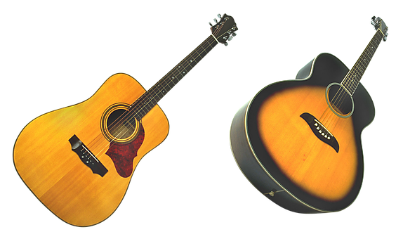 Acoustic Guitars Dual View