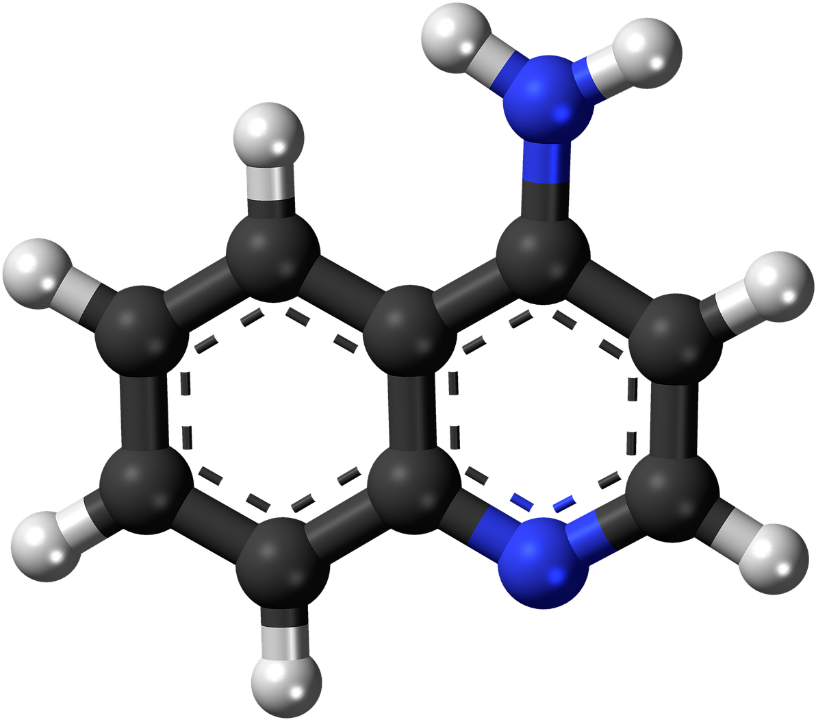 Adenine Molecule3 D Model