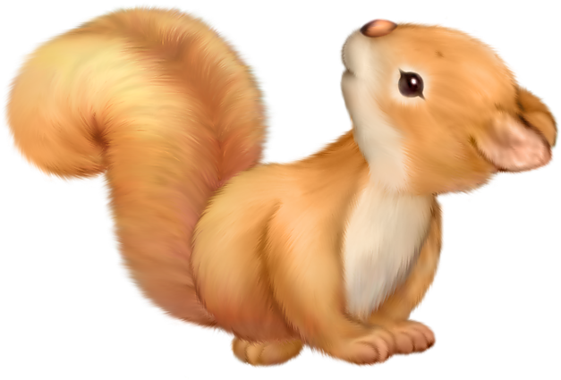 Adorable Cartoon Squirrel