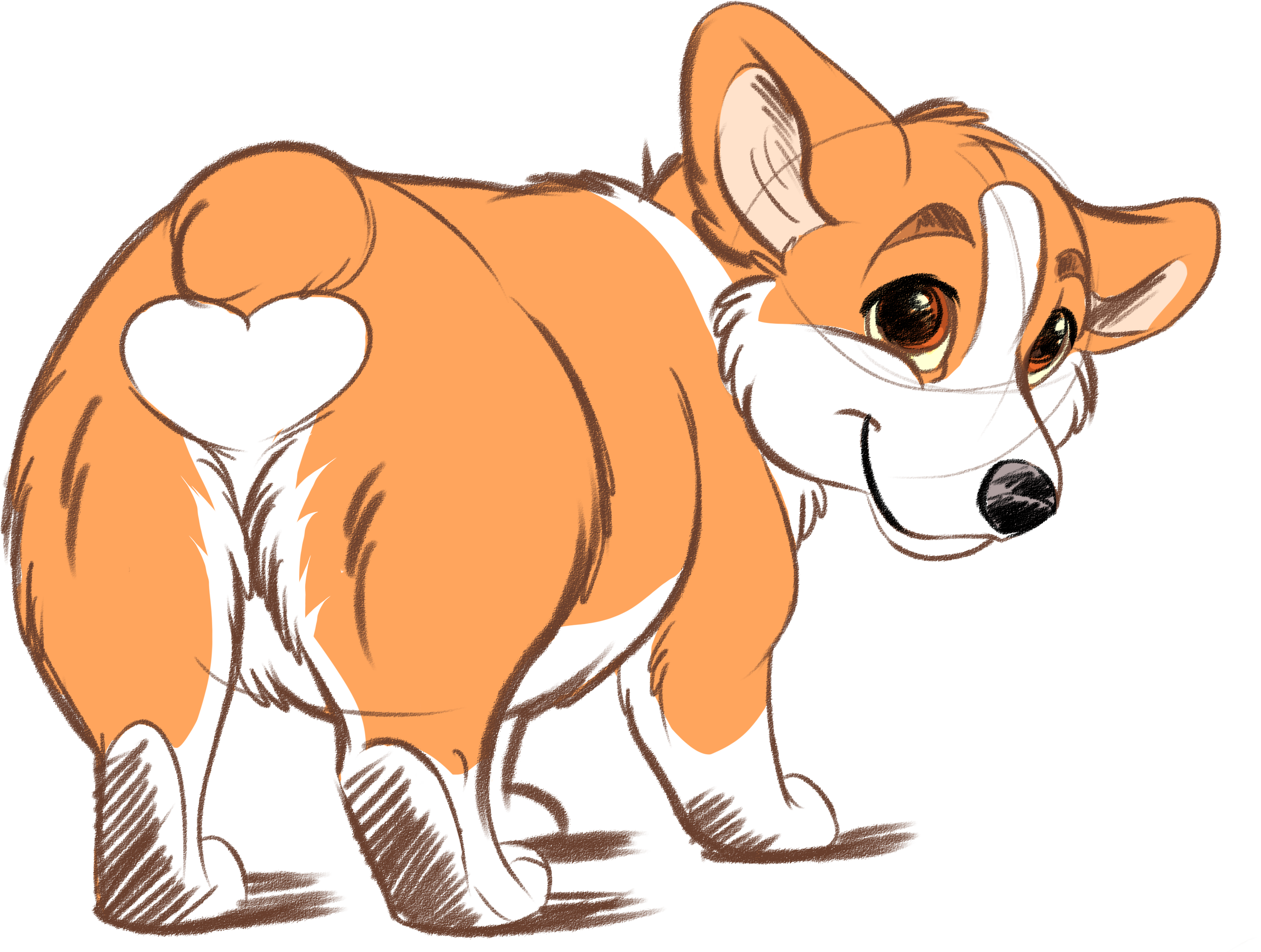 Adorable Corgi Cartoon