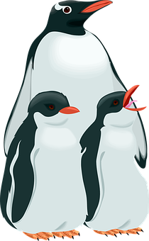 Adult_ Penguin_ With_ Chicks_ Vector_ Illustration