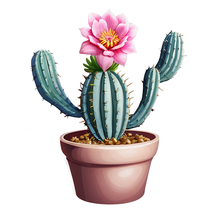 Aesthetic Cactus Flower Png 44